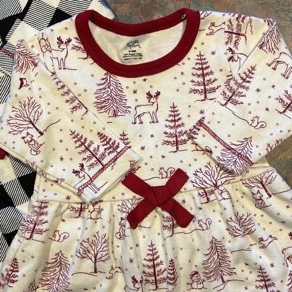 Touched By Nature Organic Cotton 3-6 mo Dresses Set of 2 Winter - Picture 2 of 5